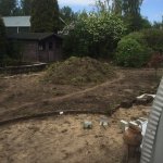 Hovenier leenheer Almere - Aanleg van tuin inclusief bestraten